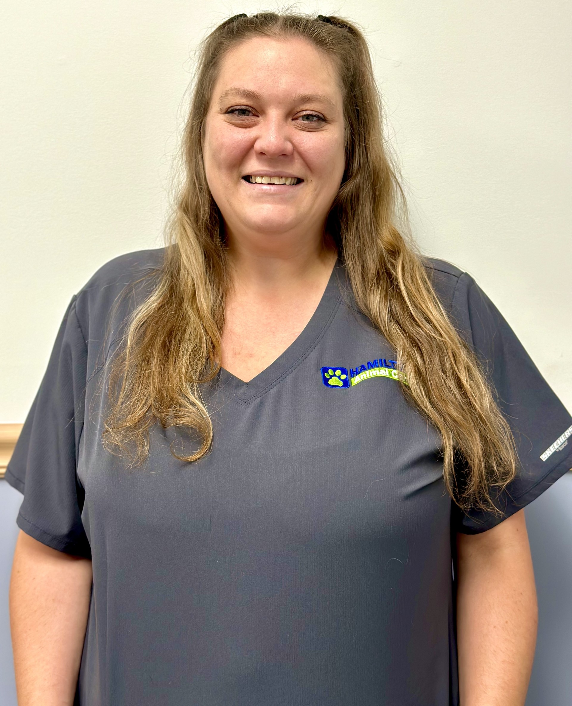 Hami - Brittany - Vet Assistant
